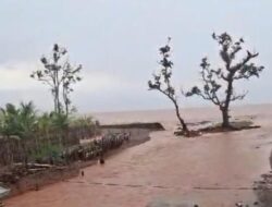 Sejumlah Lembaga Gelar Aksi Unjuk Rasa, Menyoal Dugaan Pencemaran lingkungan PT TBS di Pulau Kabaena