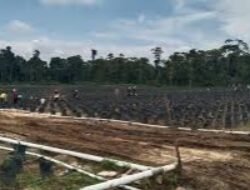 Soal Polemik PT KAS, Pemda Muna Dinilai Tak Paham Kewenangan