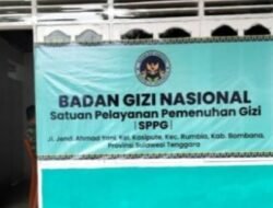 Begini Penjelasan Ahli Gizi Soal Insiden Makan Bergizi Gratis di SD 33 Bombana