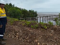 Tempat Pemuatan Ore dan Stok File Ifishdeco Prosedural