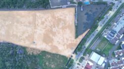 Penebangan Hutan Mangrove Untuk Rumah Pribadi Gubernur Sultra Disoal, Triple C: DLHK Jangan Tebang Pilih