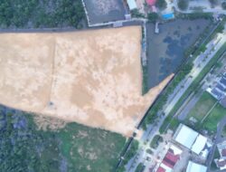 Penebangan Hutan Mangrove Untuk Rumah Pribadi Gubernur Sultra Disoal, Triple C: DLHK Jangan Tebang Pilih