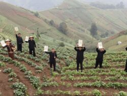 Sepanjang Tahun 2025, Kementerian ATR/BPN Terbitkan 1,2 Juta Sertipikat Tanah Melalui PTSL