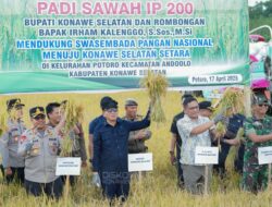 Panen Padi di Potoro, Bupati Konsel Canangkan Tanam Serentak