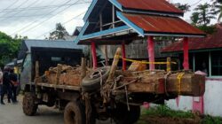 BB Titipan KPH Lakompa di Polsek Batauga Diduga Dikeluarkan Tampa Prosedur Hukum, Oknum TNI Diduga Terlibat