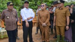 Dampingi Mentan dan Wagub, Wabup Konsel Tinjau Sawah Terdampak Banjir