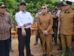 Dampingi Mentan dan Wagub, Wabup Konsel Tinjau Sawah Terdampak Banjir