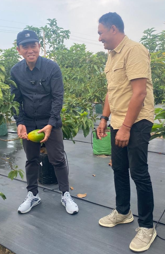 Pemkab Konsel Studi Lapangan Terkait Alpukat di Kediri