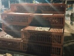 Pengadaan Ayam Petelur Desa Moasi Diduga Tak Sesuai APBDes, Warga Minta Inspektor Turun Tangan