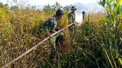 TNI, Polri, Damkar dan Masyarakat Berhasil Padamkan Kebakaran Lahan di Nanga-Nanga Kendari