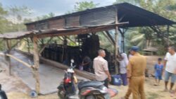 Begini Penjelasan Kuasa Hukum Pabrik Sagu di Watu Mokala