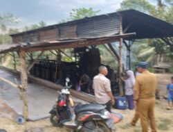 Begini Penjelasan Kuasa Hukum Pabrik Sagu di Watu Mokala
