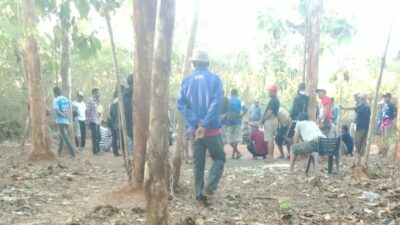 Polsek Lawa Diduga Biarkan Judi Sabung Ayam Yang Digelar Tiap Hari