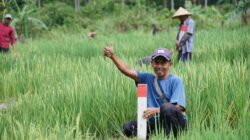 Dirjen SPPR Imbau para Pemilik Tanah untuk Pasang Patok Tanda Batas Demi Menjaga Keamanan Aset